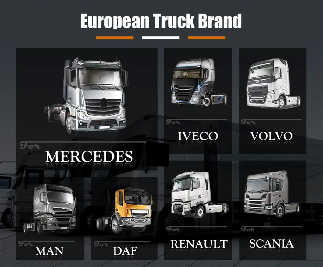 Spare Truck Parts Engine/Brake/Chassis/ Body /Electrical Truck Parts for Mercedes-Benz/Volvo/Man/Scania/Renault/Daf/Iveco/ Isuzu/ Mitsubishi/ Hino/Hyundai